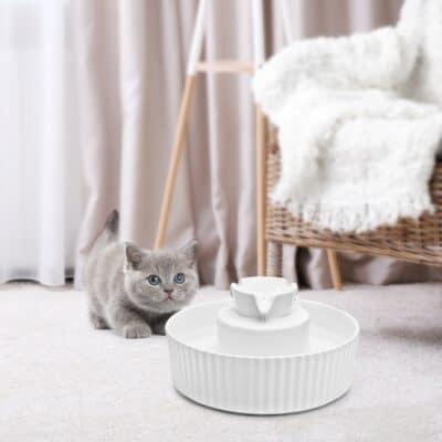 Home - Findingneverlandthemusical 27 26 020 250 07 1024x1024@2x