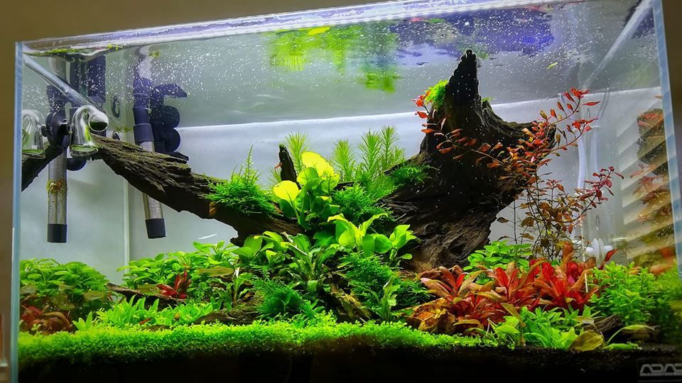 9dd295950a4f73c9f6738a0024b798a4