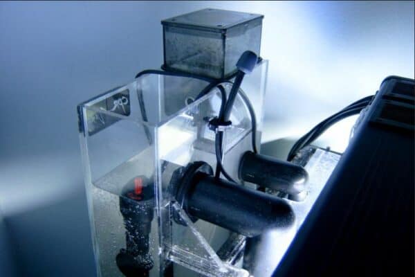 Home - Findingneverlandthemusical 8 best protein skimmer hang on back protein skimmer