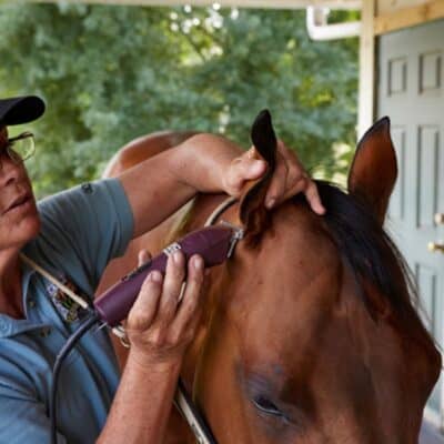 Home - Findingneverlandthemusical 10 dana boyd miller andis 1