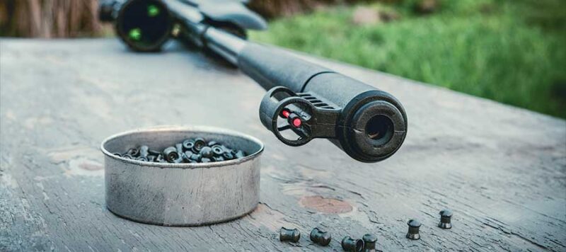 Home - Findingneverlandthemusical 16 quiet air rifles