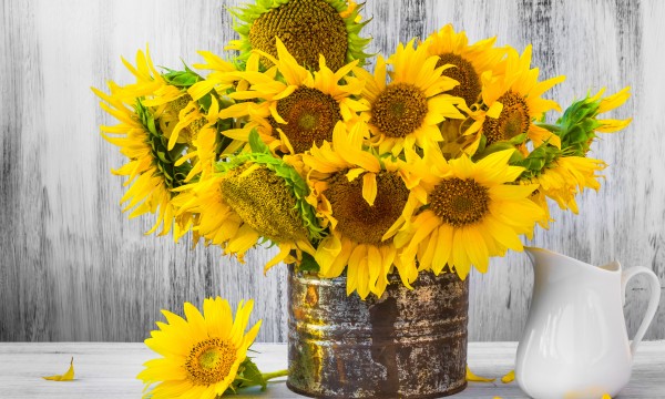 Home - Findingneverlandthemusical 24 how to arrange sunflowers in a vase