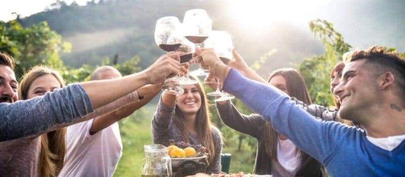 Home - Findingneverlandthemusical 16 The Best Wine Foil Cutters fb 1024x448 1