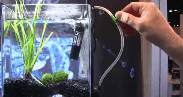 Home - Findingneverlandthemusical 22 Aquarium Air Pump Quietest