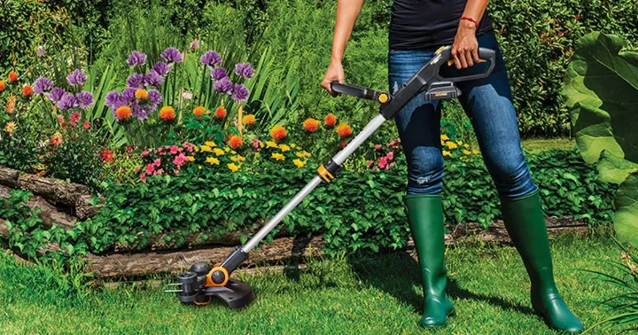 best weed eater head