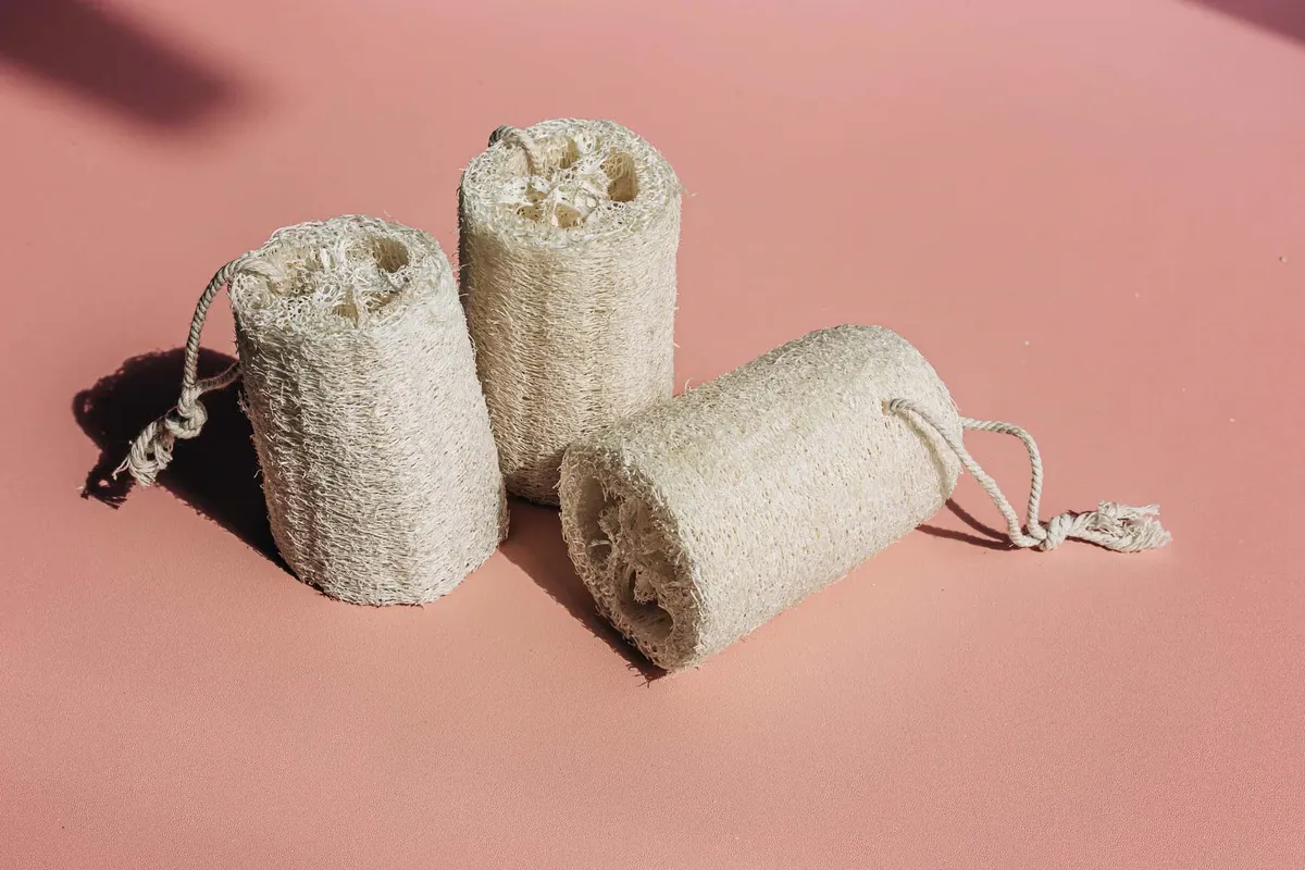 Travel Loofah Case: Protect Your Loofahs From Damage During Transport 2 Travel Loofah Case