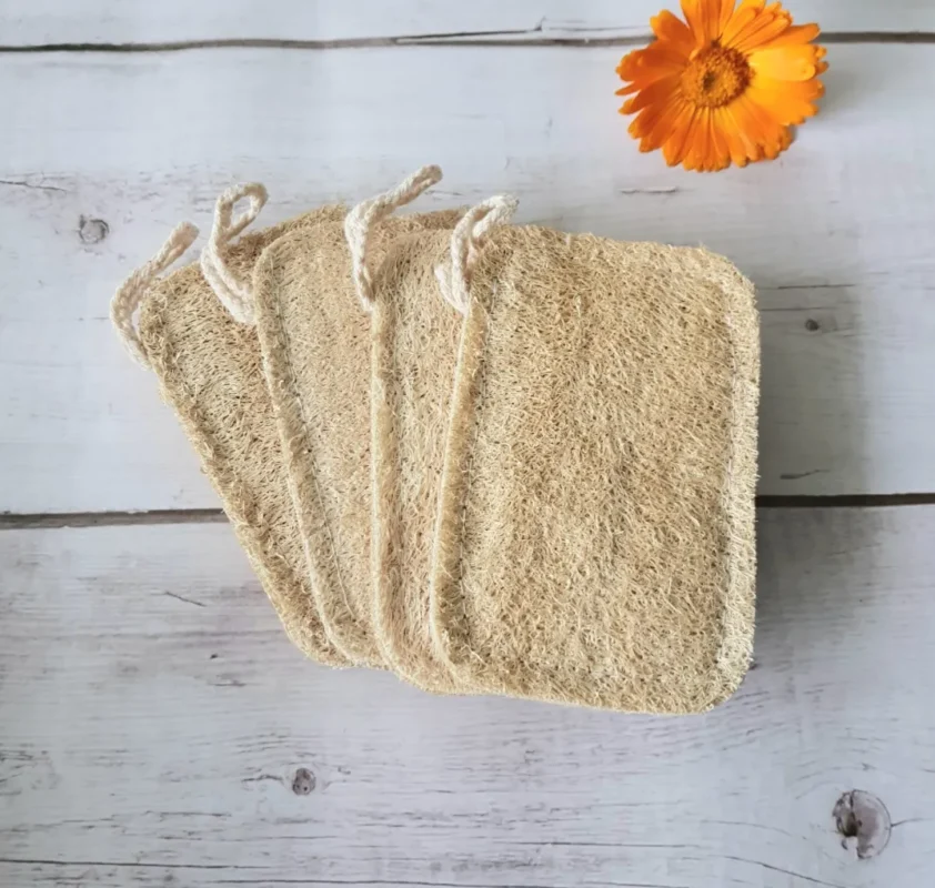 Travel Loofah Case: Protect Your Loofahs From Damage During Transport 4 Travel Loofah Case