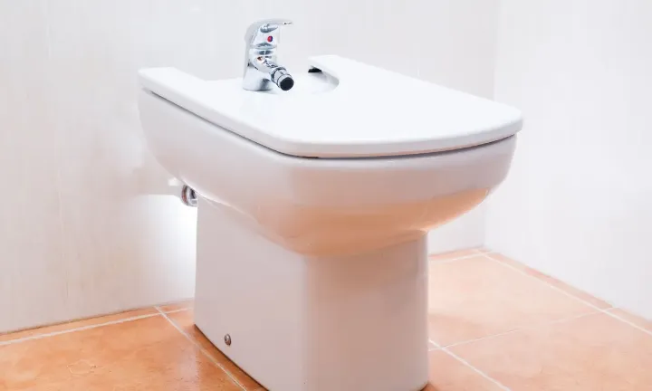 best bidet toilet seat