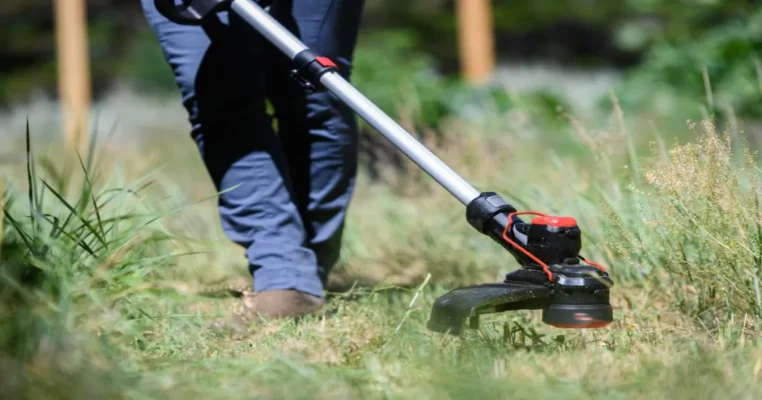 Home - Findingneverlandthemusical 15 best weed eater head