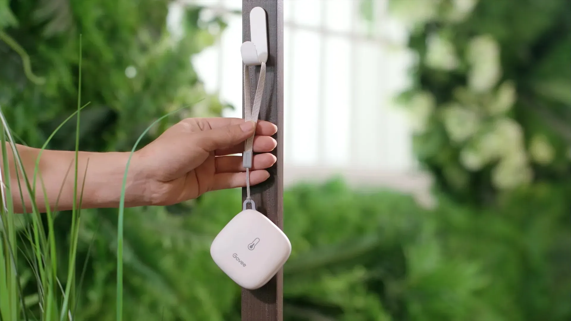 Govee Thermometer Wifi