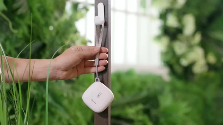 Home - Findingneverlandthemusical 2 Govee Thermometer Wifi