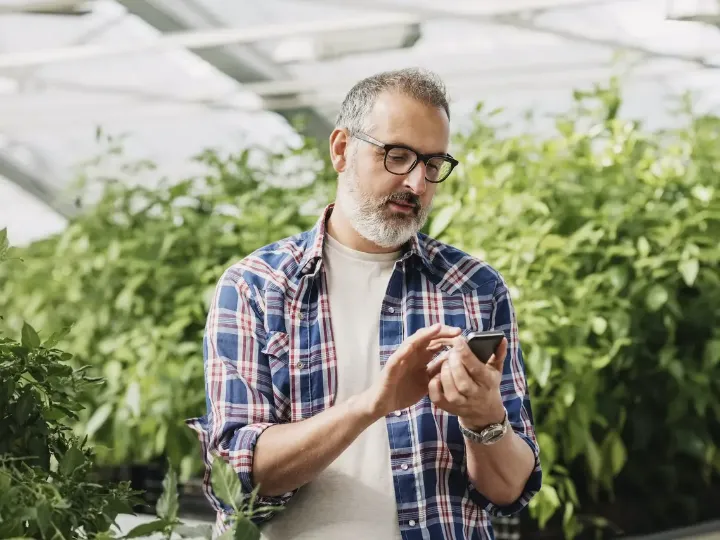 Perfect Climate For Your Plants With A Greenhouse Thermometer With App 2 greenhouse thermometer with app