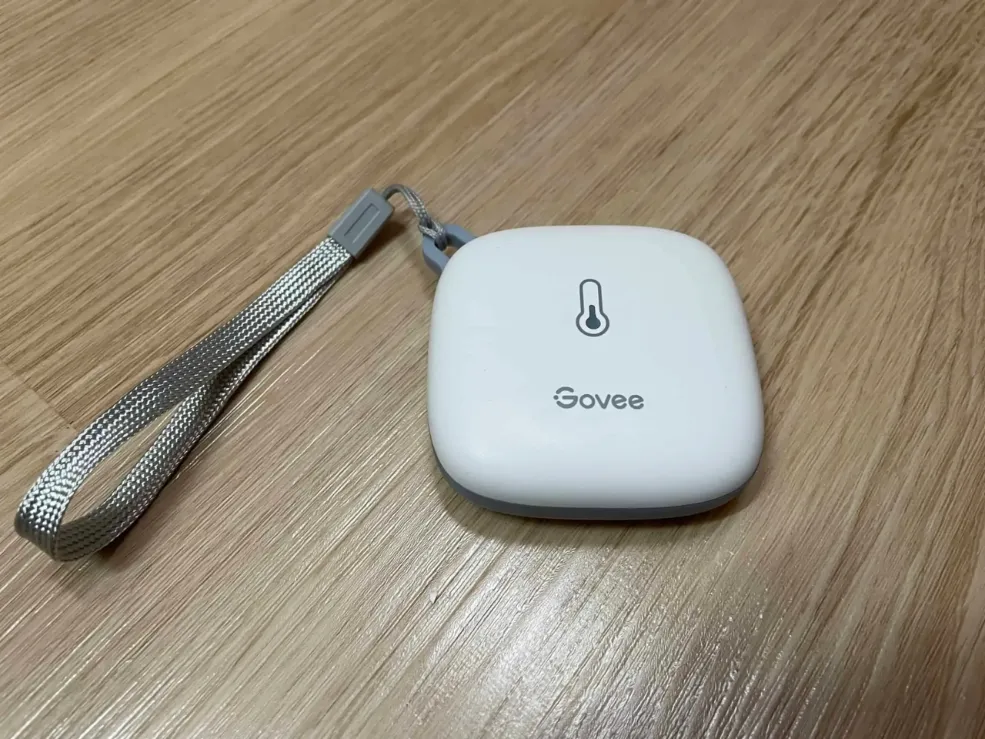 Govee Thermometer Wifi