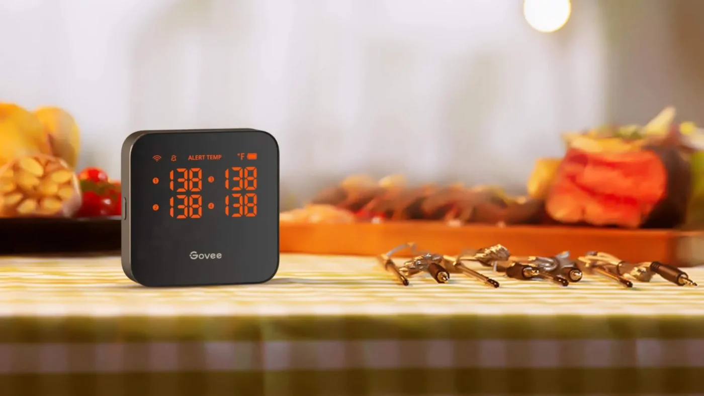 Govee Thermometer Wifi