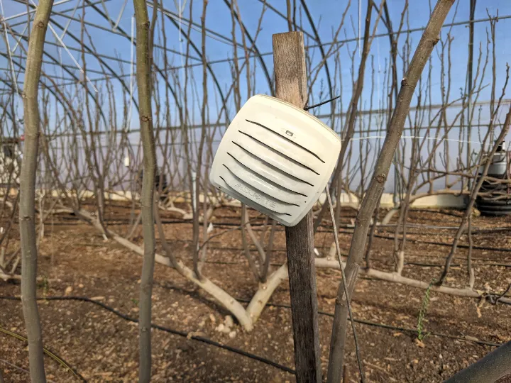 Perfect Climate For Your Plants With A Greenhouse Thermometer With App 4 greenhouse thermometer with app