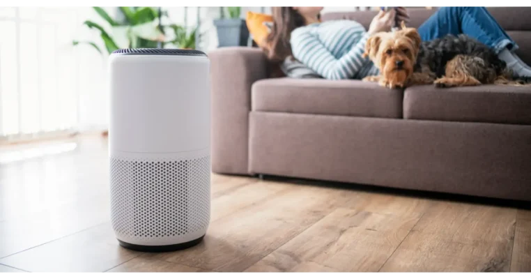 Home - Findingneverlandthemusical 28 air purifier