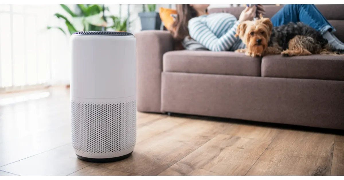10 Best Air Purifiers 1 air purifier