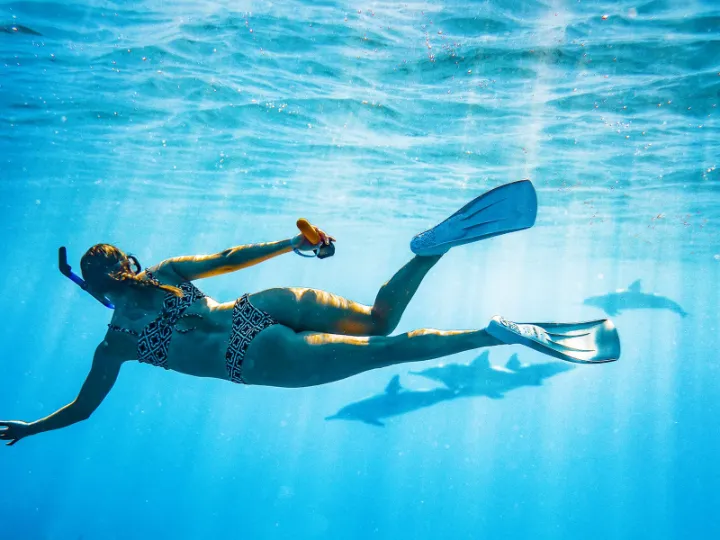 best swimming fins for beginners