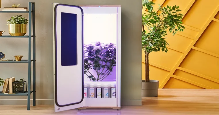 Home - Findingneverlandthemusical 21 Best Stealth Grow Box