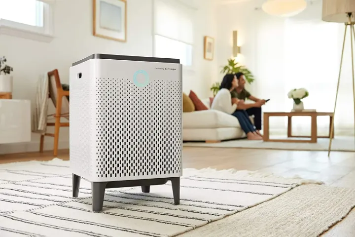  air purifiers for home