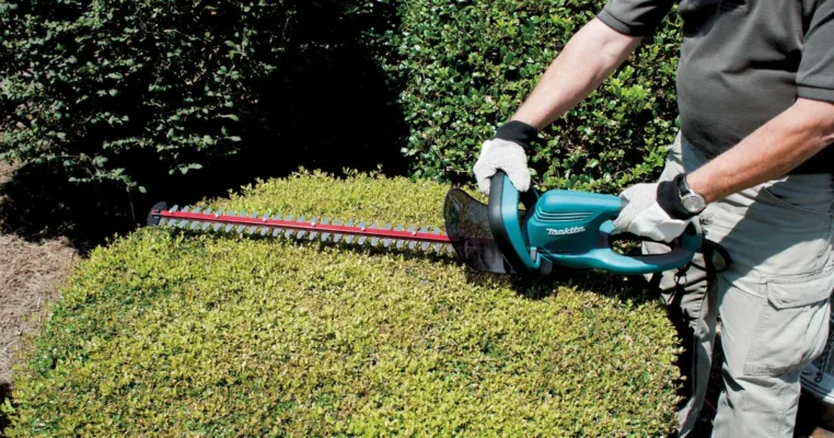 Home - Findingneverlandthemusical 8 best cord hedge trimmers