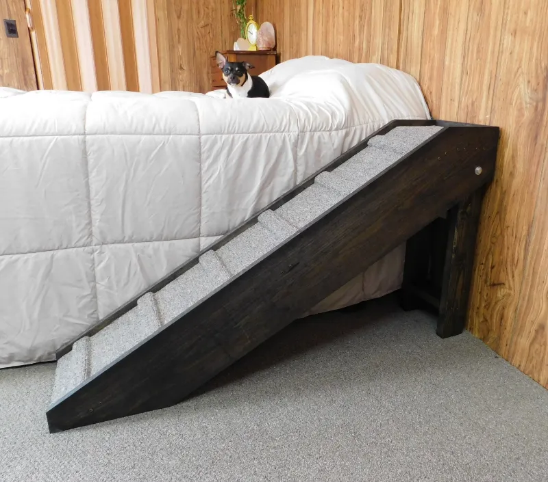 Best Dog Ramp For Bed: Which One Suits Your Dogs? 5 Best Dog Ramp For Bed