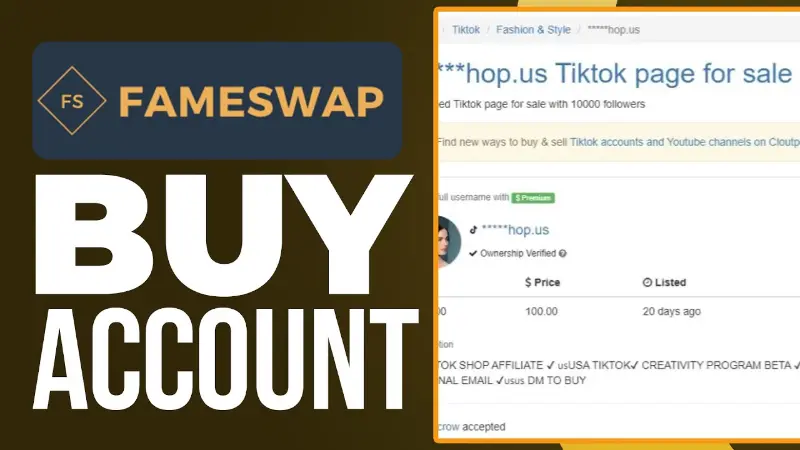 Fameswap: The Ultimate Marketplace for Social Media Asset Acquisition 5