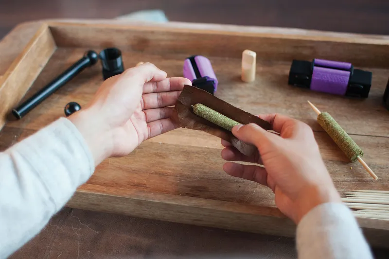 Best Cannagar Mold - Which One Do You Choose? 4 Best Cannagar Mold