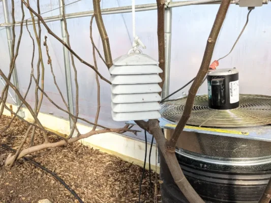 Home - Findingneverlandthemusical 17 greenhouse thermometer with app