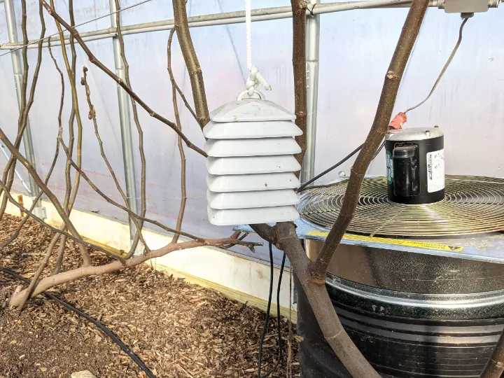 Perfect Climate For Your Plants With A Greenhouse Thermometer With App 5 greenhouse thermometer with app