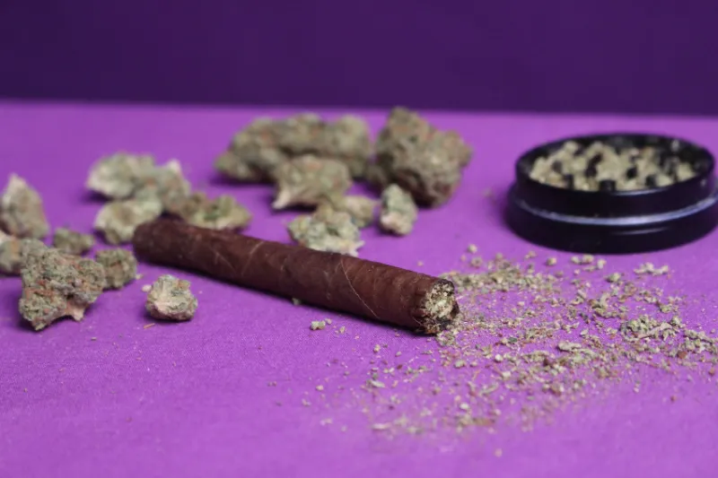 Best Backwoods Blunt Roller: Which One Is For You? 4 Best Backwoods Blunt Roller