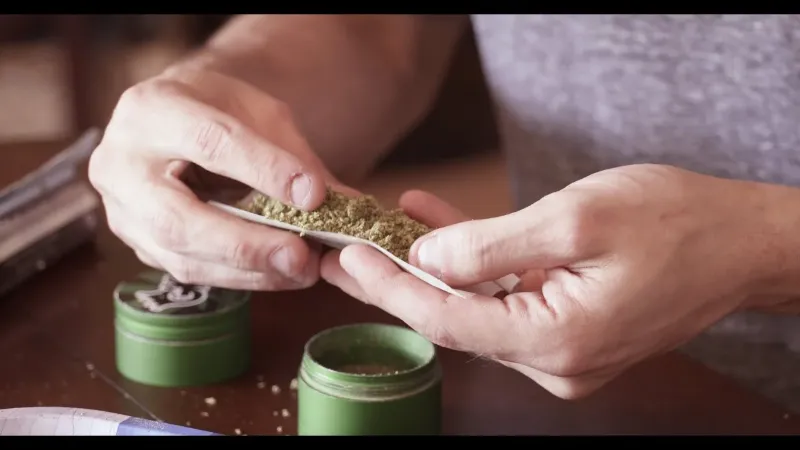 Best Backwoods Blunt Roller: Which One Is For You? 1 Best Backwoods Blunt Roller