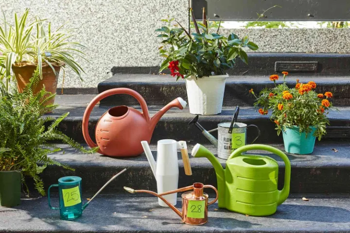 best watering can